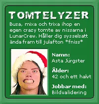 Annonsen för Tomtelyzern